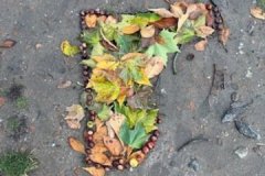 IMG_20251025_133105 IMG_20251025_133105