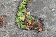 IMG_20251025_133112 IMG_20251025_133112