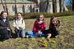 Messenger_creation_0415526D-159F-49E3-A937-B266BDEFD584