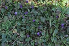 Messenger_creation_156A2530-140B-4C50-AEE6-99C0976454D2