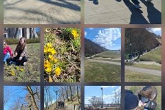 Messenger_creation_A358B40A-5CBA-4C18-AAEF-E5AA8077E59D