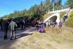 IMG_20250927_104846435_AE IMG_20250927_104846435_AE